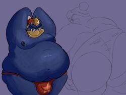 king_dedede, kirby_(series), nintendo, chubbsack, anthro