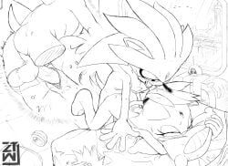 blaze_the_cat, silver_the_hedgehog, sega, sonic_the_hedgehog_(series), zeunnert_tw
