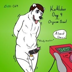 anthro, arm_tuft, balls, bbear, bear