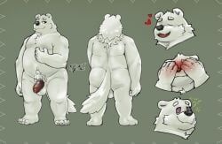 thebunslover, anthro, bear, belly, canid