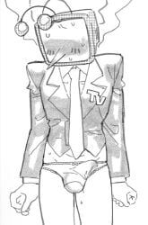 tenna_(deltarune), deltarune, undertale_(series), blush, bulge_in_panties