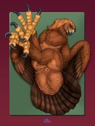 sawyer_(ferobird), ferobird, accipitrid, accipitriform, ambiguous_gender