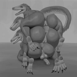 goldcrustedchicken, anthro, anus, balls, biped