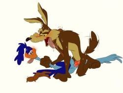 road_runner_(looney_tunes), wile_e._coyote, looney_tunes, warner_brothers, ambiguous_penetration