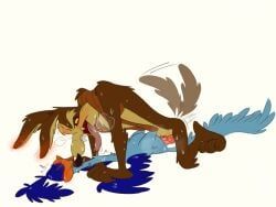 road_runner_(looney_tunes), wile_e._coyote, looney_tunes, warner_brothers, animal_genitalia