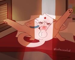 eeveelution, espeon, generation_2_pokemon, pokemon_(species), nintendo