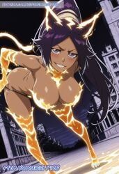 shihouin_yoruichi, yoruichi_shihouin, bleach, bleach:_the_thousand-year_blood_war, patreon