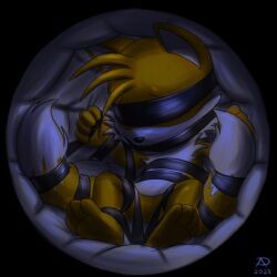 tails_the_fox, sega, sonic_(series), sonic_the_hedgehog_(series), radasus