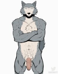 legoshi_(beastars), beastars, raus, anthro, balls