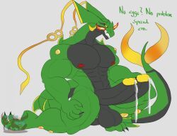 generation_6_pokemon, legendary_pokemon, mega_evolution, mega_rayquaza, pokemon_(species)