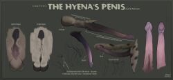 tagging_guidelines_illustrated, strana_(artist), anatomically_correct, anatomically_correct_genitalia, anatomically_correct_penis