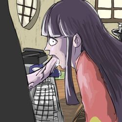 angry_german_kid, kaguya_houraisan, touhou, computer, cum