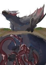 nargacuga, capcom, monster_hunter, ibuki_shione, anal