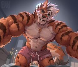 zuel_(ruugoole), physen, abs, anthro, barazoku