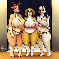 bingo_heeler, honey_(bluey), judo_(bluey), bluey_(series), christmas