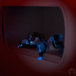facehugger, alien_(franchise), alien, angysu, anthro