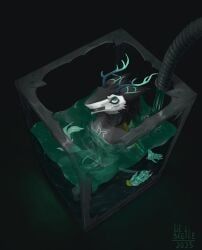 schmitt, lil_beetle, anthro, asphyxiation, balls