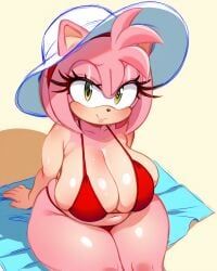 amy_rose, sonic_(series), sonic_the_hedgehog_(series), pinkasswhore, 1girl