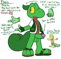 chespin, original_character, pokemon_(species), pokémon_(species), treecko