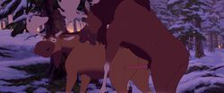 rutt, tuke_(brother_bear), brother_bear, disney, zica
