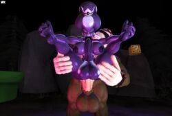 funky_kong, princess_shroob, donkey_kong_(series), mario_(series), mario_and_luigi:_partners_in_time