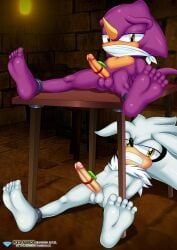 espio_the_chameleon, silver_the_hedgehog, sega, sonic_(series), sonic_the_hedgehog_(series)