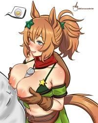 t-head_trainer_(umamusume), taiki_shuttle_(umamusume), taiki_shuttle_(wild_frontier)_(umamusume), trainer_(umamusume), umamusume