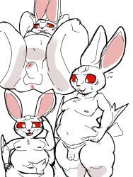 heismay_noctule, coolietf, animal_genitalia, anthro, bat