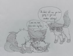 darktail_(warriors), fan_character, oc, violetshine_(warriors), warriors_(cats)
