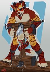 koorivlf_tycoon, skully, 4_toes, ankle_cuffs, anthro