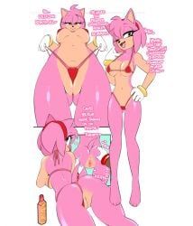 amy_rose, keiph_the_tenrec, original_character, sonic_oc, sonic_(series)