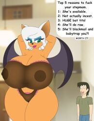 rouge_the_bat, sonic_(series), sonic_the_hedgehog_(series), foxtide888, age_difference