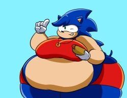 sonic_the_hedgehog, sonica_the_hedgehog, sonique_the_hedgehog, sonic_the_hedgehog_(series), komakomaranger