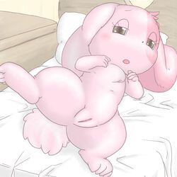 mallow_(hhc), happy_happy_clover, c.m, bed, bunny
