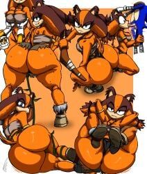miles_prower, sonic_the_hedgehog, sticks_the_badger, sega, sonic_(series)