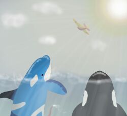 chlurx, aircraft, ambiguous_gender, animal_genitalia, animal_penis