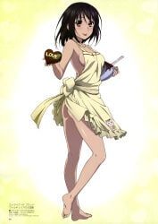 himeragi_yukina, strike_the_blood, valentine's_day, sano_keiichi, 1girls