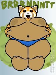 retsuko, aggressive_retsuko, aggretsuko, sanrio, cringebird
