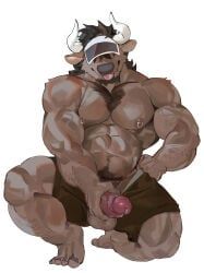 seatohao, abs, anthro, balls, barazoku