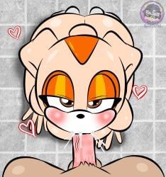 cream_the_rabbit, sega, sonic_the_hedgehog_(series), sirjzau, anthro