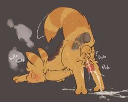 slugcat, rain_world, videocult, dog_phenomenon, anal
