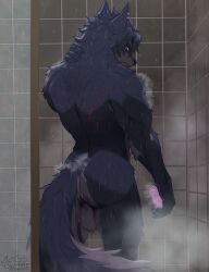 anthro, balls, black_hair, butt, canid
