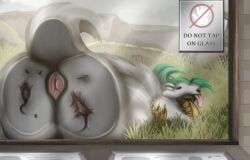 sioninel, against_surface, anus, arthropod, ass_on_glass