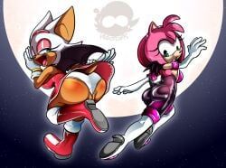 amy_rose, rouge_the_bat, sega, sonic_(series), sonic_the_hedgehog_(series)