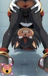 shadow_the_hedgehog, sega, sonic_(series), sonic_the_hedgehog_(series), sonic_x