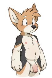 king_(housepets!), housepets!, taro_bubbletea, anthro, balls