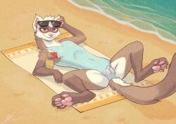 arcticos, animal_genitalia, animal_vulva, anthro, beach
