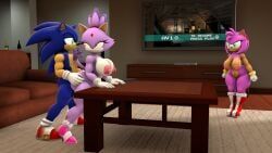 amy_rose, blaze_the_cat, sonic_the_hedgehog, sega, sonic_(series)