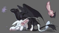 fury_(httyd), light_fury, night_fury, nubless, toothless