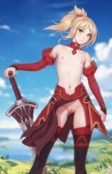 mordred_(fate), fate/apocrypha, fate/grand_order, fate_(series), personalami
